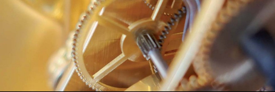 Ulteriori Opportunità e Richieste Riservate