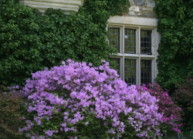 SORISO - LAGO D'ORTA - EDIFICIO STORICO - CASA PADRONALE - circa 3.400 mq