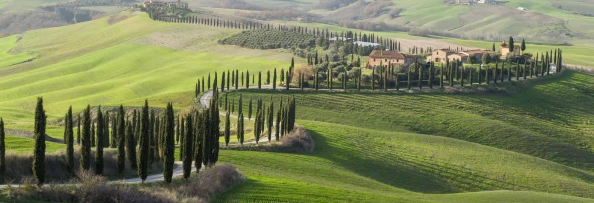 Asciano (siena) - albergo 4 stelle a reddito - 95 camere