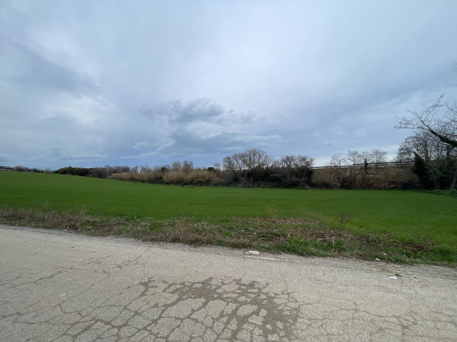  PESCARA IN POSIZIONE STRATEGICA USCITA TANGENZIALE - terreno con destinazione logistica o commerciale